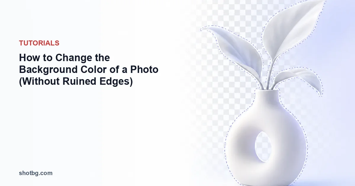 How to Change the Background Color of a Photo (Without Ruined Edges)